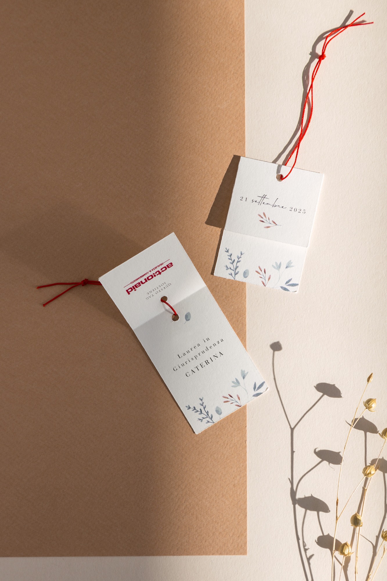 Tag Solidale Fotografica Laurea