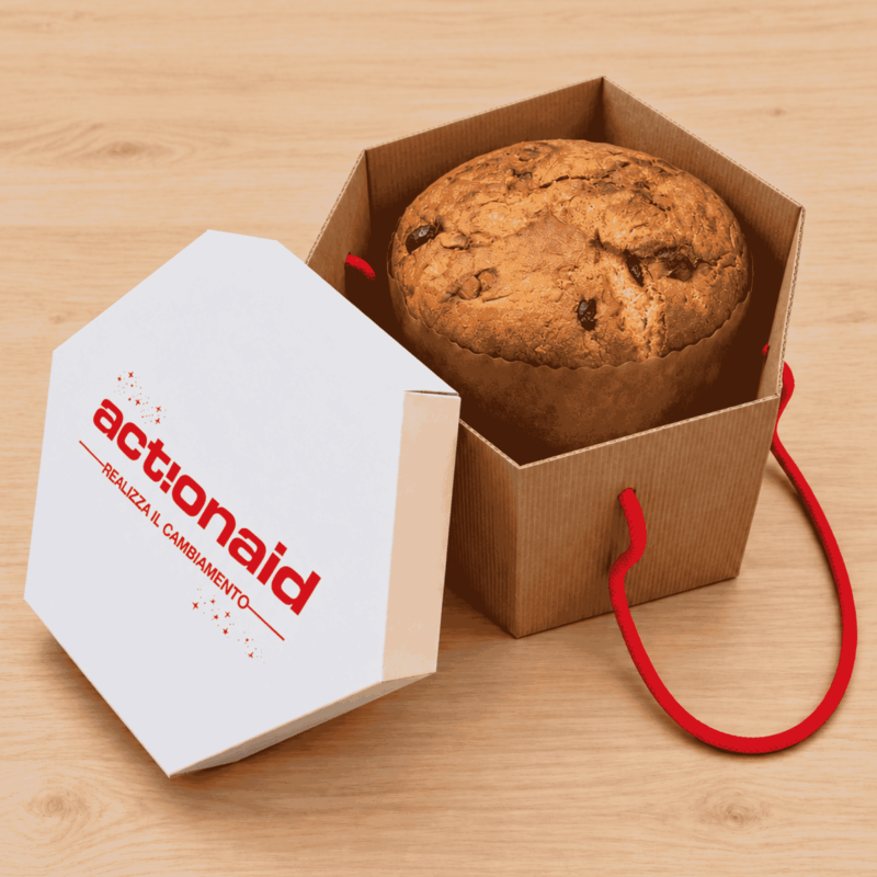 Panettone Classico Premium ActionAid